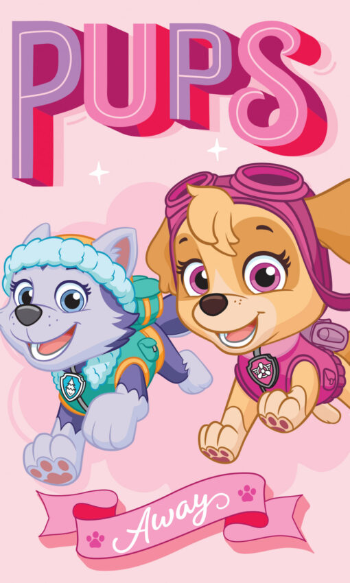 CBX173022PAW