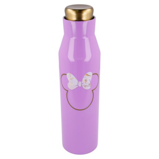 double-walled-stainless-steel-diabolo-bottle-580-ml-minnie
