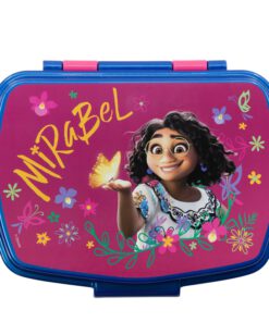 funny-sandwich-box-encanto