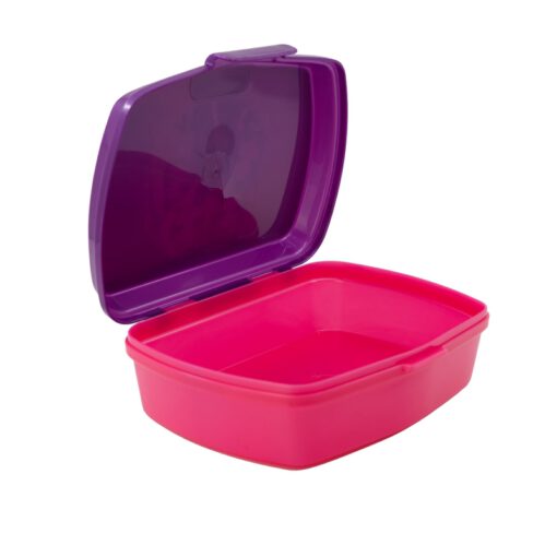 funny-sandwich-box-rainbow-high