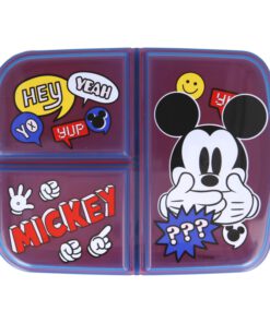 multi-compartment-sandwich-box-its-a-mickey-thing