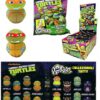 teenage-mutant-ninja-turtles-rollin-im-display-8x10cm