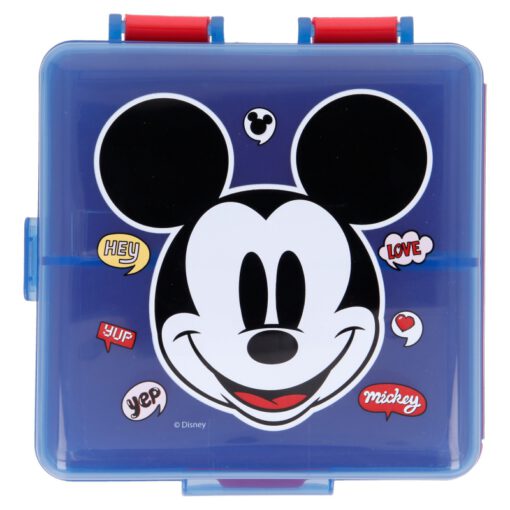 multi-compartment-square-sandwich-box-its-a-mickey-thing